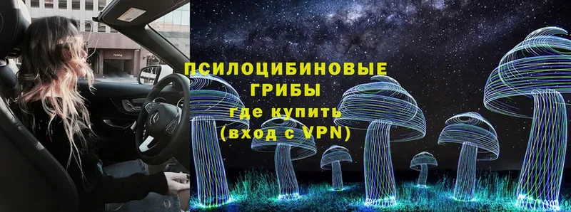 Псилоцибиновые грибы MAGIC MUSHROOMS Красноярск